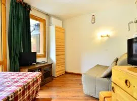 Studio cosy à Montchavin Les Coches, pied des pistes, balcon, parking gratuit - FR-1-329-2