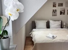 Fe-Wo im Herzen von Weingarten