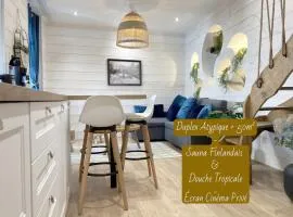 Duplex climatisé avec Espace Cinéma