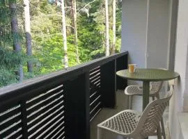 Forest Chamkoria Apartment with Terrace, Borovets
