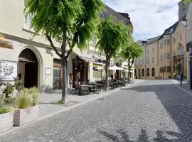 Apartmán Palackého Free Parking