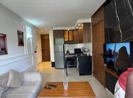 luxurious apartment Casa 32