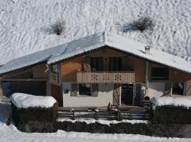 chalet Noyer - Domaine du Fraizier