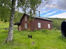 Cozy 1850s timber cabin and sauna with amazing view