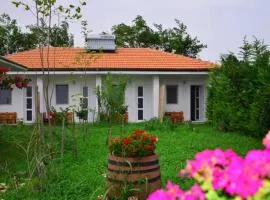 Casa Georgy