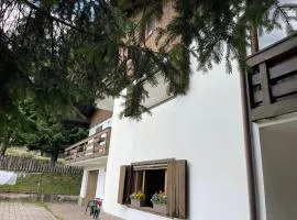 Ca' Virginia - Val di Fassa