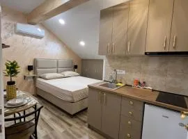 Apartment Tri limuna 1