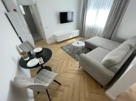 APARTAMENT ULTRACENTRAL,PARCARE PRIVATA,WiFi