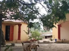 Sunshine Guesthouse Bafuloto