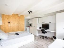 DeLuxe Studio Lumineux et Rénové, Parking Gratuit, MULHOUSE CENTRE