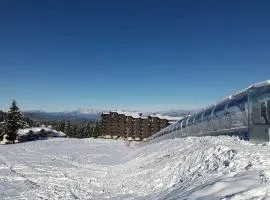 Les Marmottes