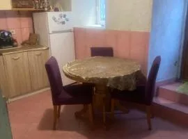 Sany house