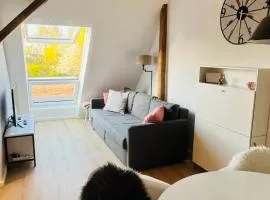 Modern, ruhig, gemütlich - Dachstudio nahe Frankfurt & Darmstadt