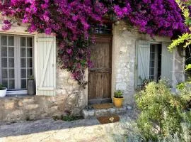 Lavender apartment