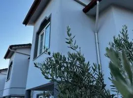 Çınar Hostel & Pansiyon
