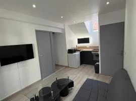 Appartement rénové en centre-ville avec terrasse