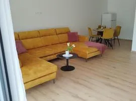 Brezovina Apartman 102