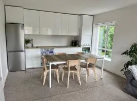 Central Spacious 3 Bedroom Apartment With Parking