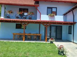 Casa Ardelean, hotel con hidromasaje en Sita Buzăului