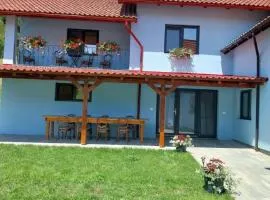 Casa Ardelean
