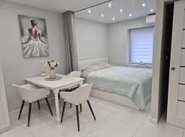NEW STORY Apartment