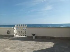 the suite on the beach