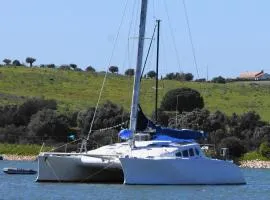 Cabines Catamaran Breakfast-Brunch Included, Optional Lunch & Dinner