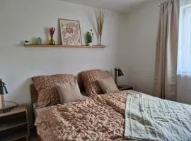 Studio Mourinka
