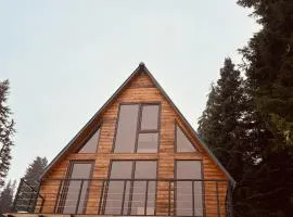 Villa L&L Bakhmaro