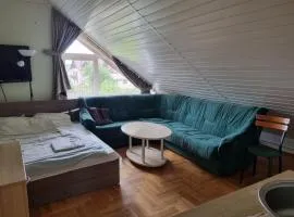 LivingPalanga Meta5