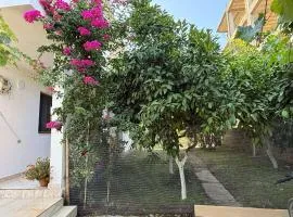 Guest House Tirana
