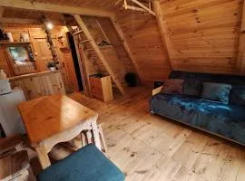 Przytulny domek na skraju lasu