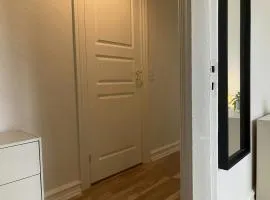Central and Spacious Apartment for 4