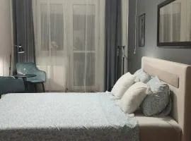 Central apartman3 Novi Sad