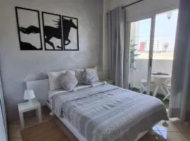 Entire Apartment