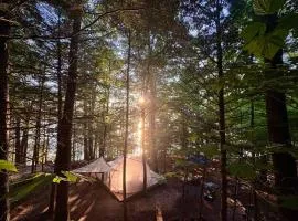 Hammock Haven Island Dome