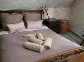 Quiet apartment in historic village