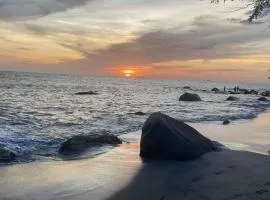 Maranta Beach