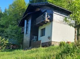 Під Боржавою