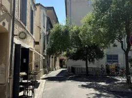 T2 Au Coeur de Montpellier
