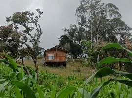 Quinta las Marias Ecolodge, camping y tiny wood house