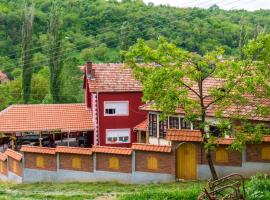 Villa Lola & Nikola, B&B in Pirot