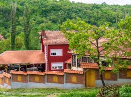 Villa Lola & Nikola, bed and breakfast v destinaci Pirot