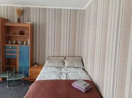 Lielais 26 Apartment