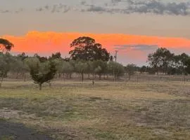 Farm Stay, Feed Sheep & Relax