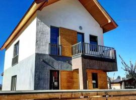 Villa in Bakuriani, vila v destinaci Bakuriani