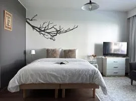 Cute studio with own parking space