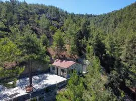 Palaiomylos Forest Residence