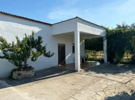 Casa Domitia