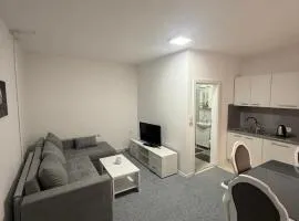 Renoviran i novo namješten Apartman